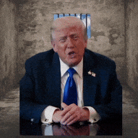 Donald Trump Potus GIF by Respective