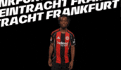 Goal Bundesliga GIF by Eintracht Frankfurt