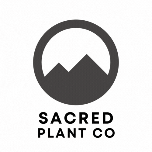SacredPlantCo giphyupload herb chamomile sacred plant co GIF