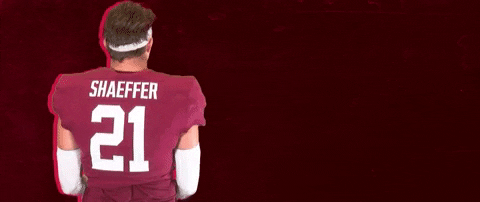 Football Roll Pards GIF by Lafayette Leopards