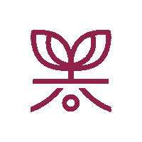 Boba Matcha Sticker by Bubble Mix Tea