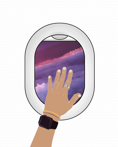 travel airplane GIF