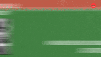 Fantasy Sports Reporters