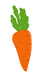 Carrot Sticker