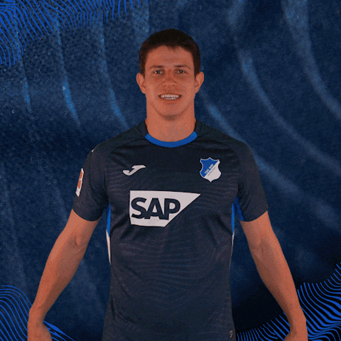 Sport Bundesliga GIF by TSG Hoffenheim