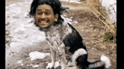 Ms Dhoni GIF