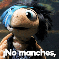 No Way What GIF by Aquarium of the Pacific