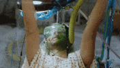 drowning season 2 GIF by DREAM CORP LLC