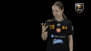 Sport Salibandy GIF by F-liiga