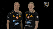 Sport Salibandy GIF by F-liiga