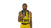 Ewe Baskets Basketball Sticker by EWE Baskets Oldenburg