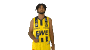 Ewe Baskets Basketball Sticker by EWE Baskets Oldenburg