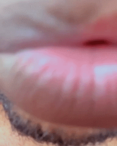 scannyb  GIF