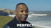 Perfection GIF by AutotraderUK