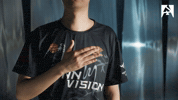 China Esports GIF by BLAST