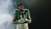 Football Nfl GIF by New York Jets