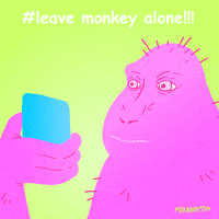 Animation Domination Lol GIF by gifnews