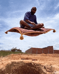 Ai Fly GIF