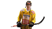 Hockey Celebrating Sticker by Vienna Capitals