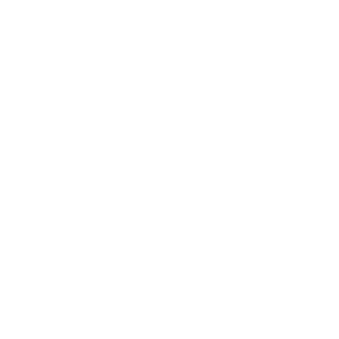 andeelove giphygifmaker andeelove wewillrise Sticker