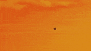 lazerfxx GIF by Major Lazer on FXX