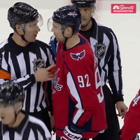 nhl washington GIF