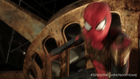 Tom Holland Web GIF by Spider-Man