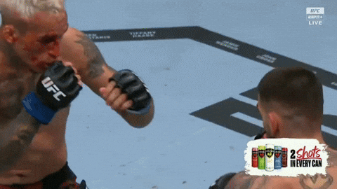 giphy.gif