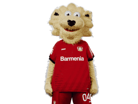 Bayer 04 Yes GIF by Bayer 04 Leverkusen