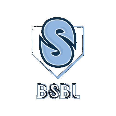 AllAmericanBaseball giphygifmaker allamericansteelheads eristeelheadsbsbl eriesteelheadsbaseball Sticker