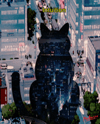peekasso funny cute lol cats GIF