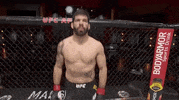 Sport Mma GIF by UFC
