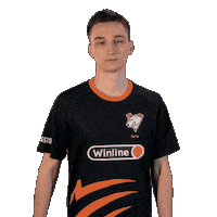 Esports Fame Sticker by Virtus.pro