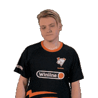 Esports Fame Sticker by Virtus.pro