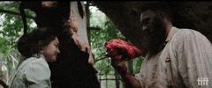 We Are Still Here Love GIF by TIFF