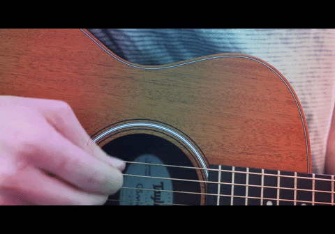 TRUMANVISUALS giphyupload photography guitar acoustic GIF