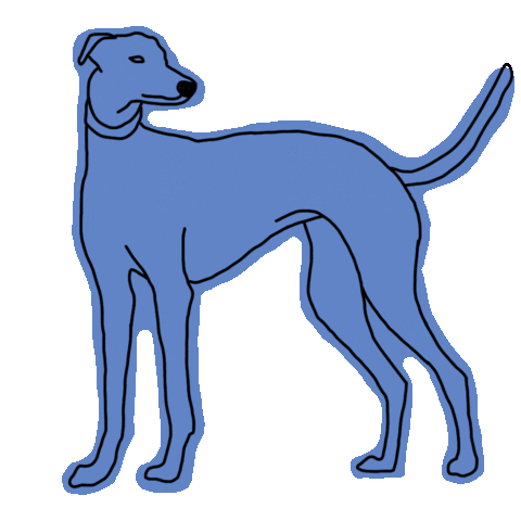 GreyhoundRescue giphyupload greyhound rescue dog greyhound rescue Sticker