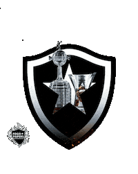 Futebol Libertadores Sticker