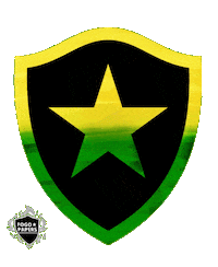 Copa Do Mundo Futebol Sticker