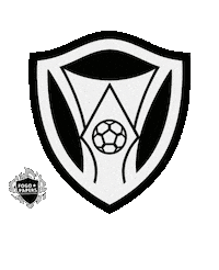 Futebol Bfr Sticker