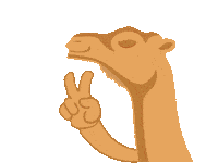 Camel Camps Sticker by ES Dubai