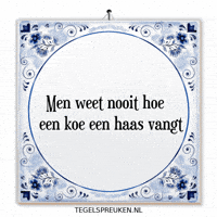 Spreuk Spanning GIF by Tegelspreuken.nl