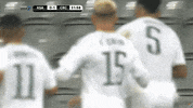 Costa Rica La Sele GIF by TD Más