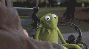 Kermit The Frog Muppets GIF by Muppet Wiki