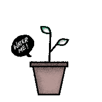 leavuc flower water plant plants Sticker