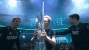 Team Win GIF by Rogue