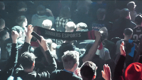 Hype Flag GIF by SINNERS Esports