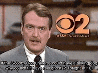 News Media GIF