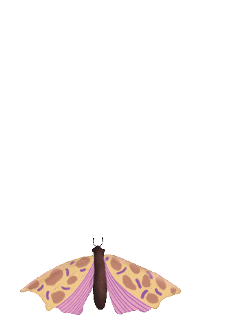 Illustration Love Sticker