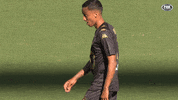 Western Sydney Wanderers GIF by wswanderersfc